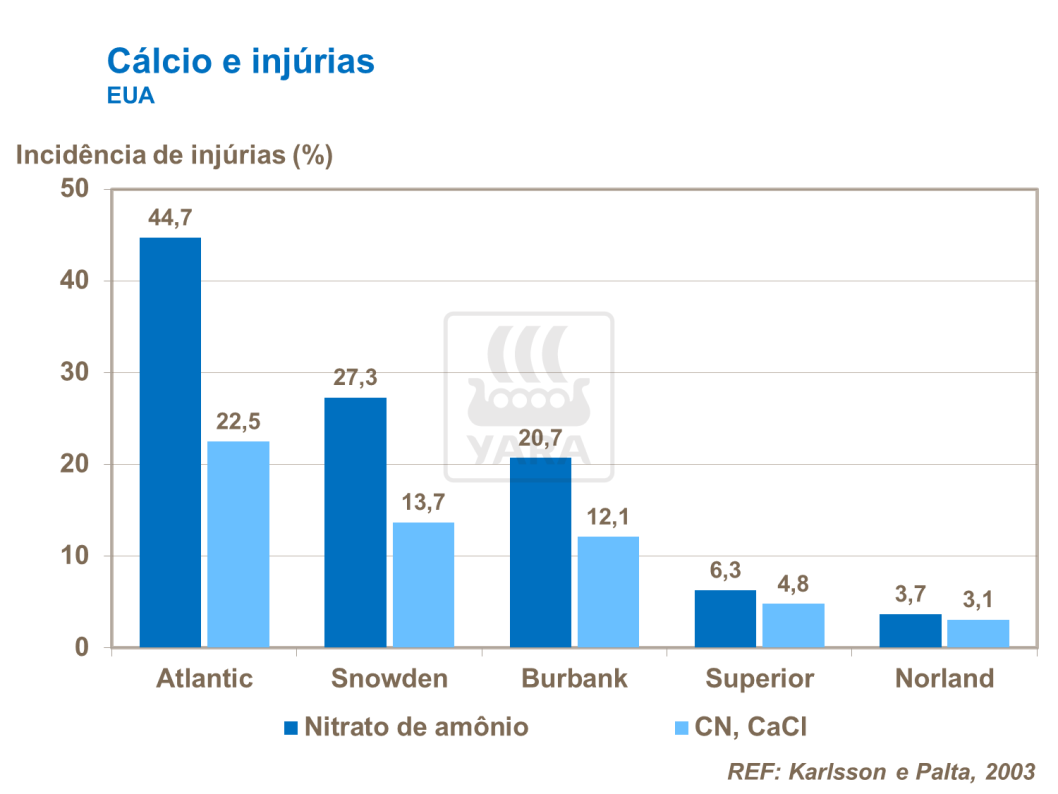 Cálcio