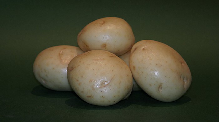 Batata com casca branca Batata com casca branca