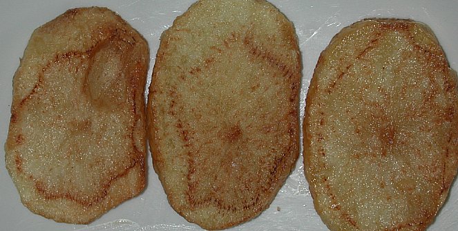 Excesso de N e alto teor de açúcares redutores tornam as batatas marrons quando cozidas. Excesso de N e alto teor de açúcares redutores tornam as batatas marrons quando cozidas.