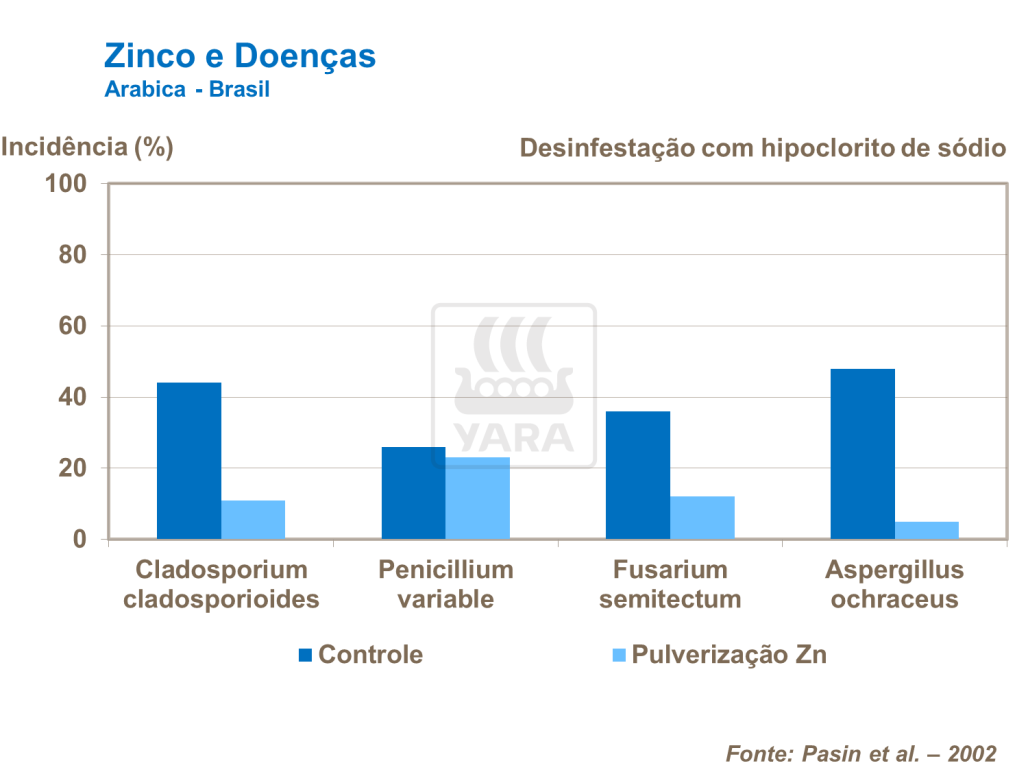 Zinco e doenças