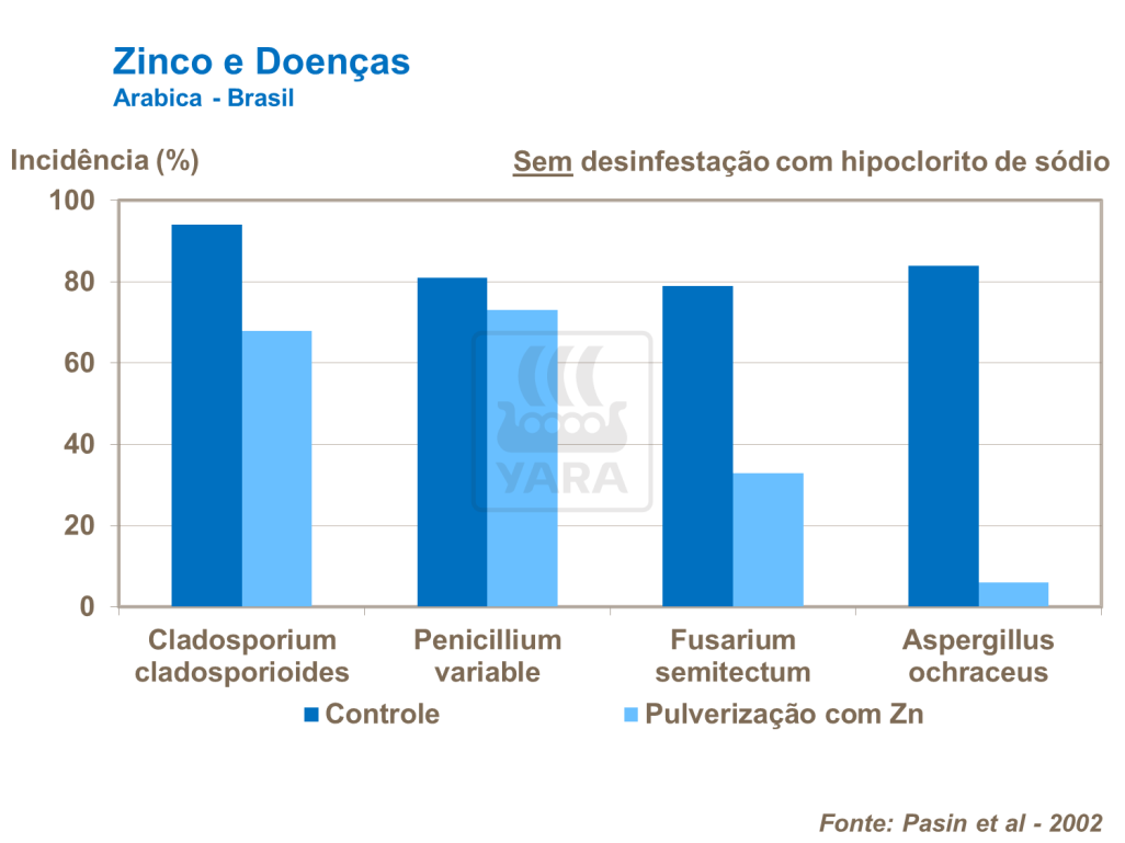 Zinco e doenças