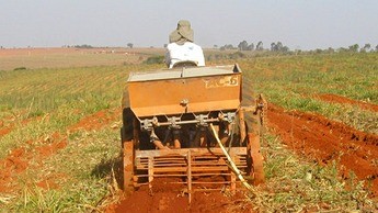 Lado com fertilizantes - foto cortesia da Cenicafe Lado com fertilizantes - foto cortesia da Cenicafe