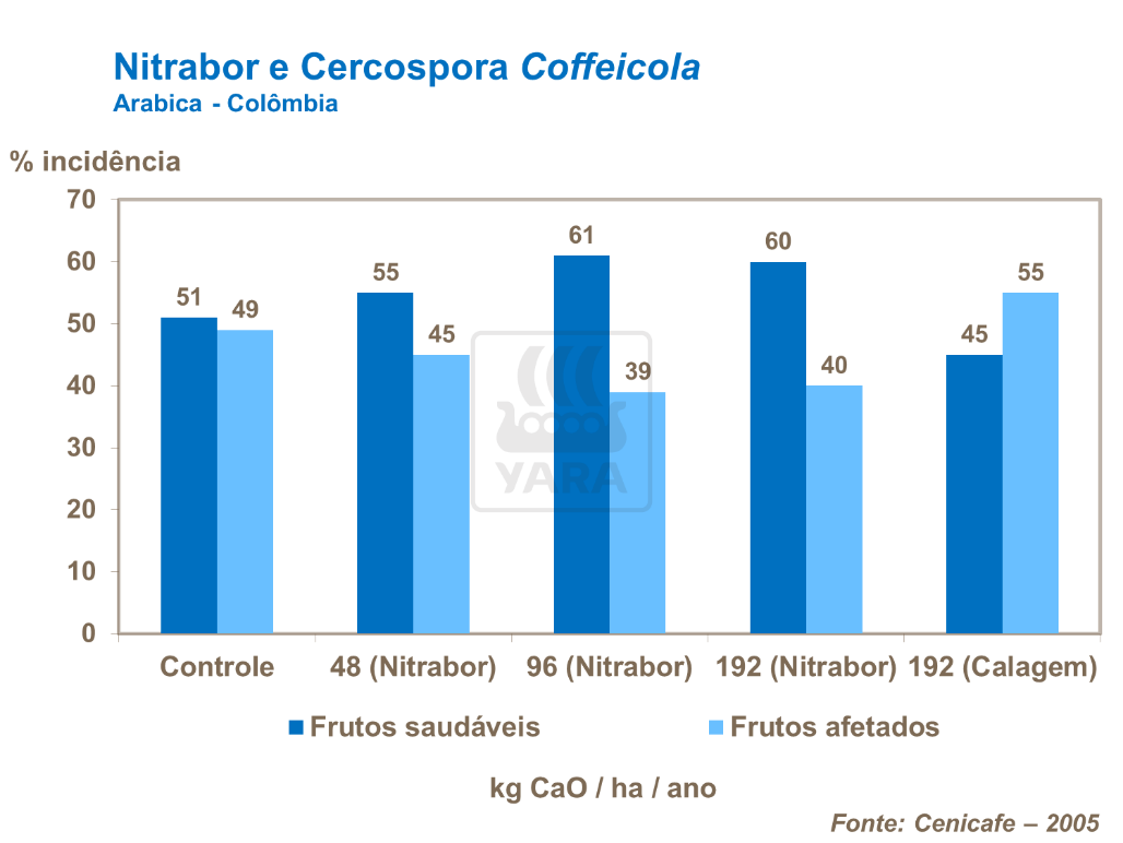 Nitrabor