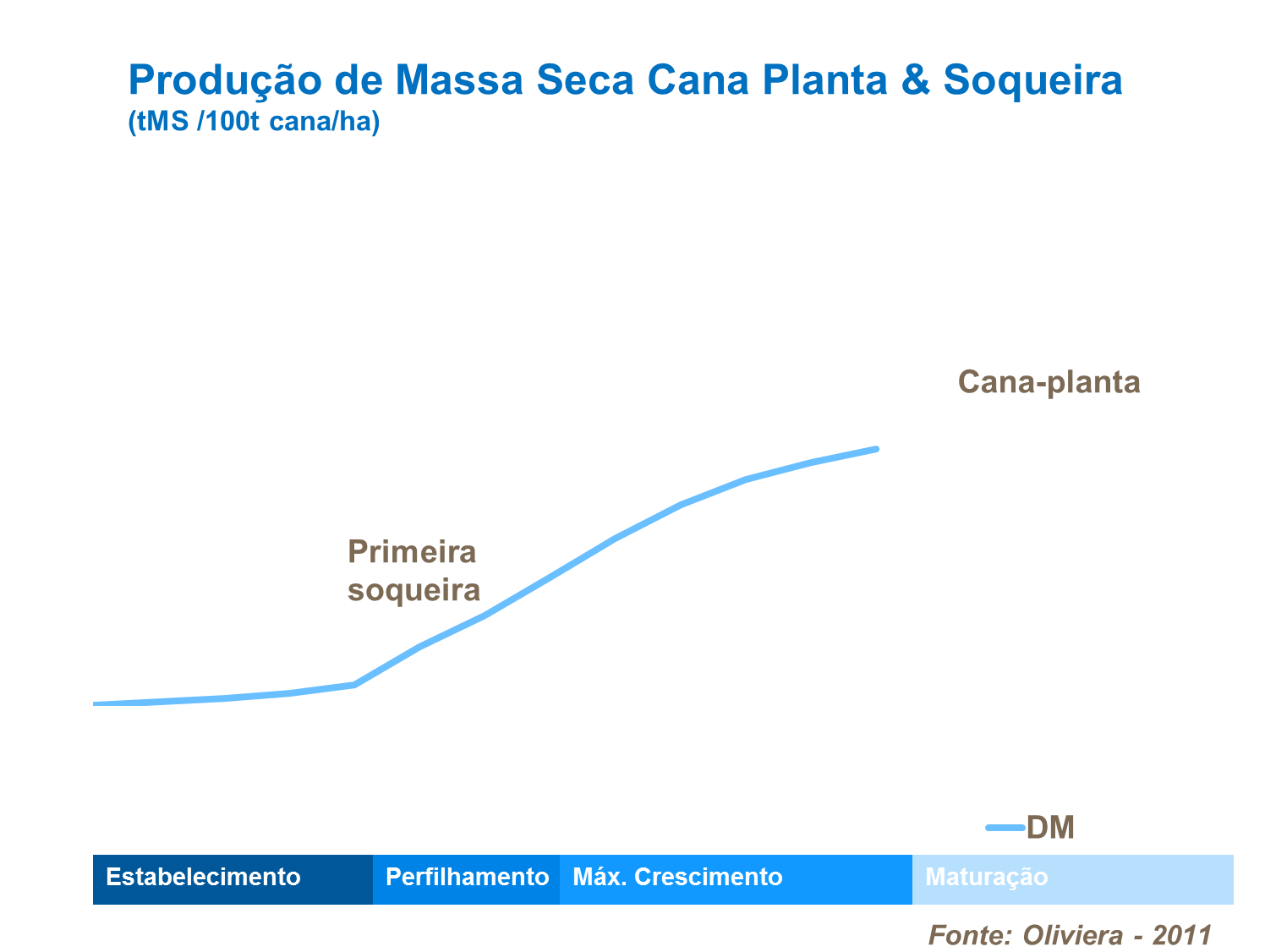 Produção de massa seca