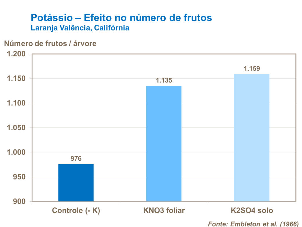 Potássio - efeito no número de frutos