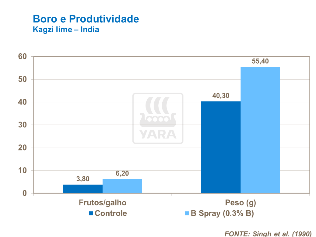 Boro e produtividade