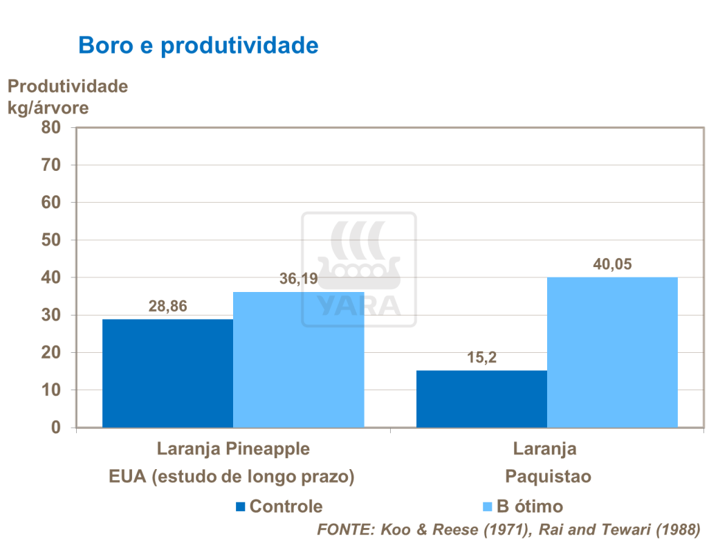 Boro e produtividade