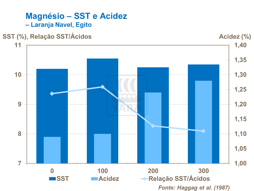 Magnésio e SST