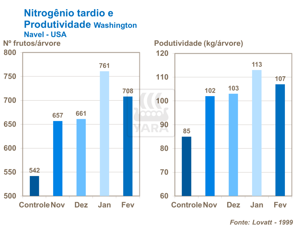 Nitrogênio tardio