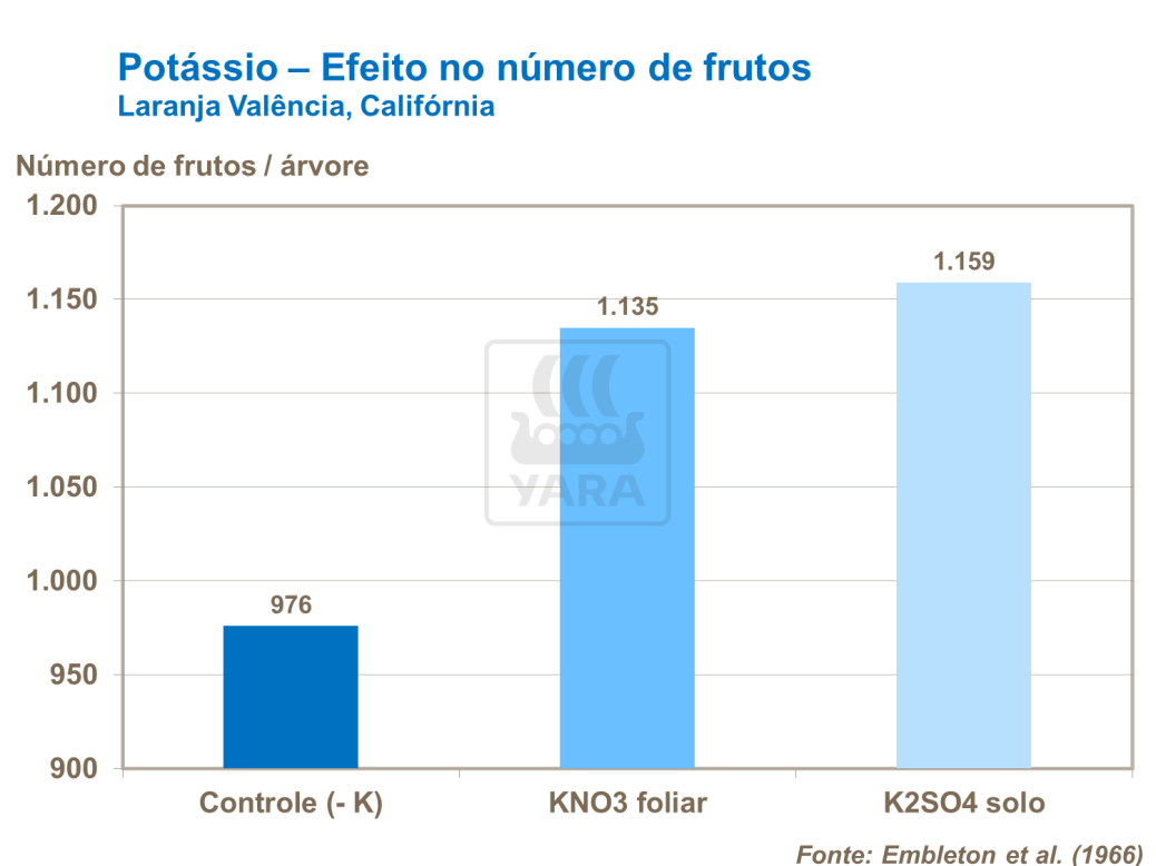 Potássio e número de frutos
