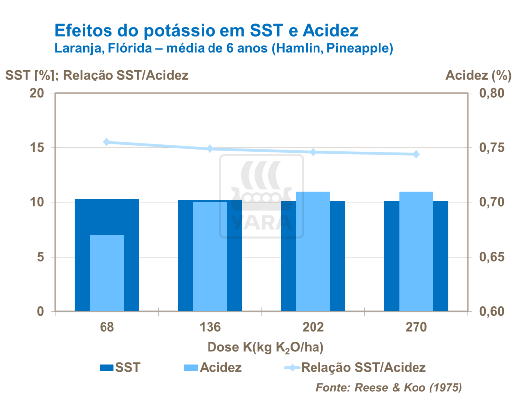 Potássio em TSS