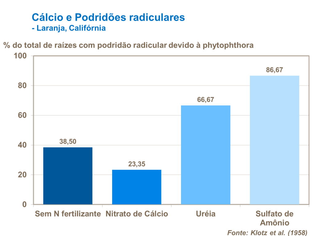 Cálcio e podridões radiculares