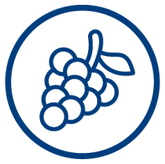 ícone uva