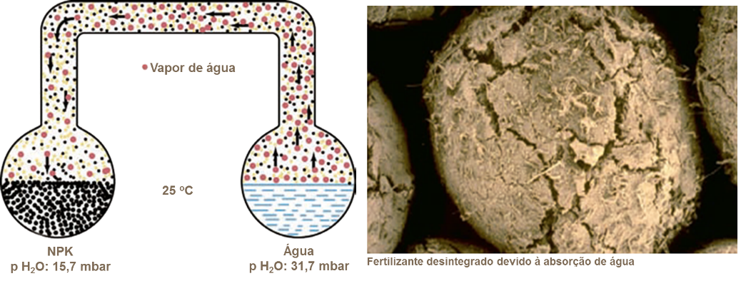 Higroscopicidade