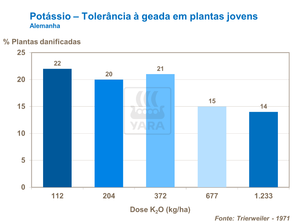 Potássio