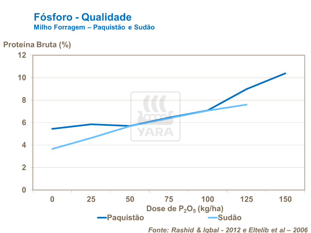 Fósforo