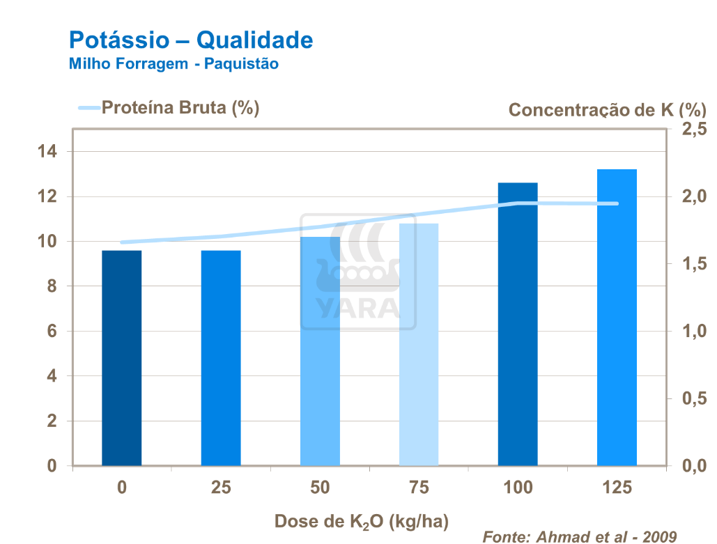 Potássio
