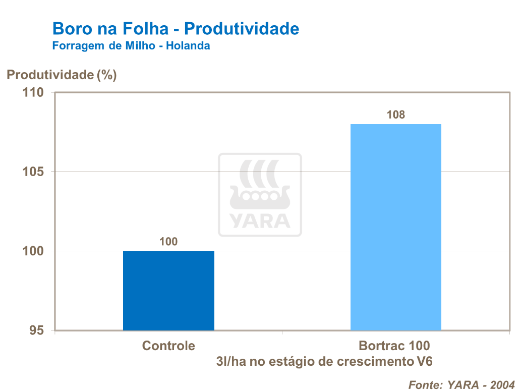 Boro na folha