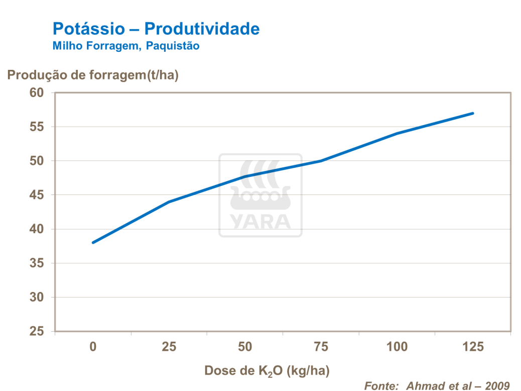 Potássio
