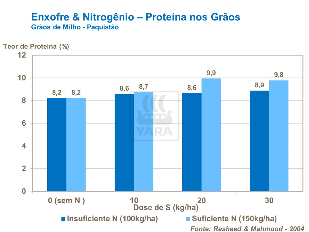 Enxofre e nitrogênio