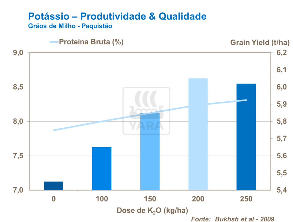 Potássio - produtividade e qualidade