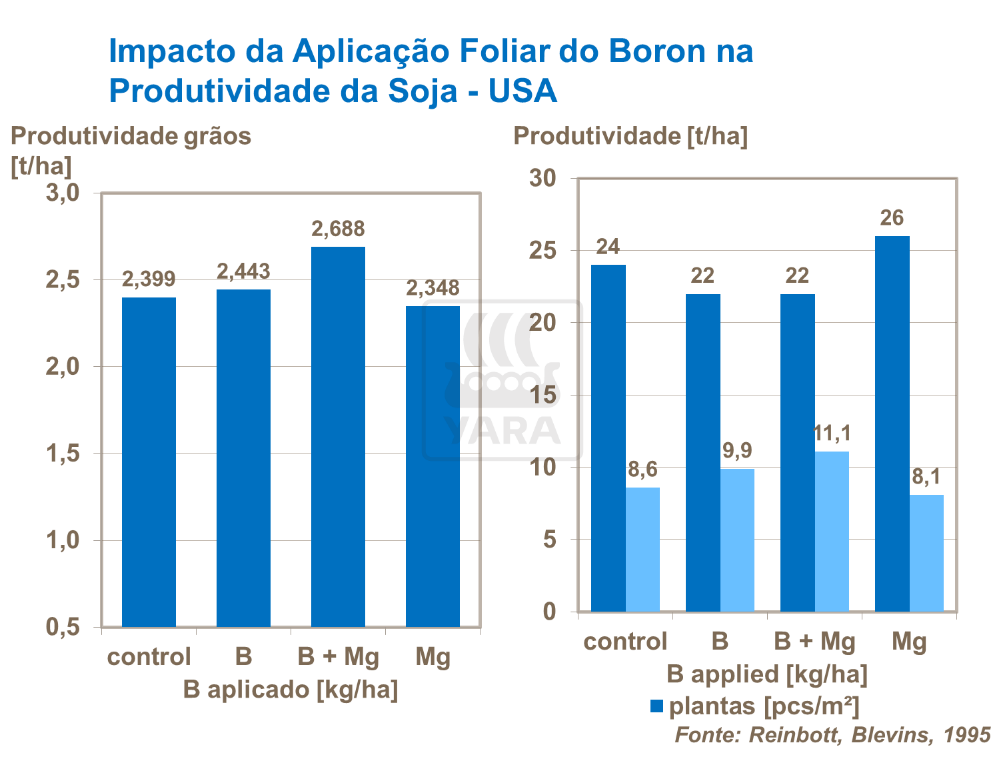 Impacto aplicação foliar Boro
