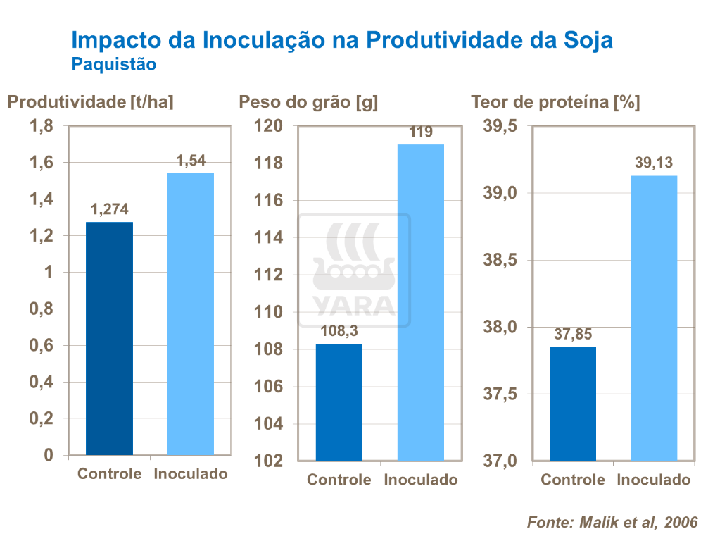 Impacto da inoculação na produtividade