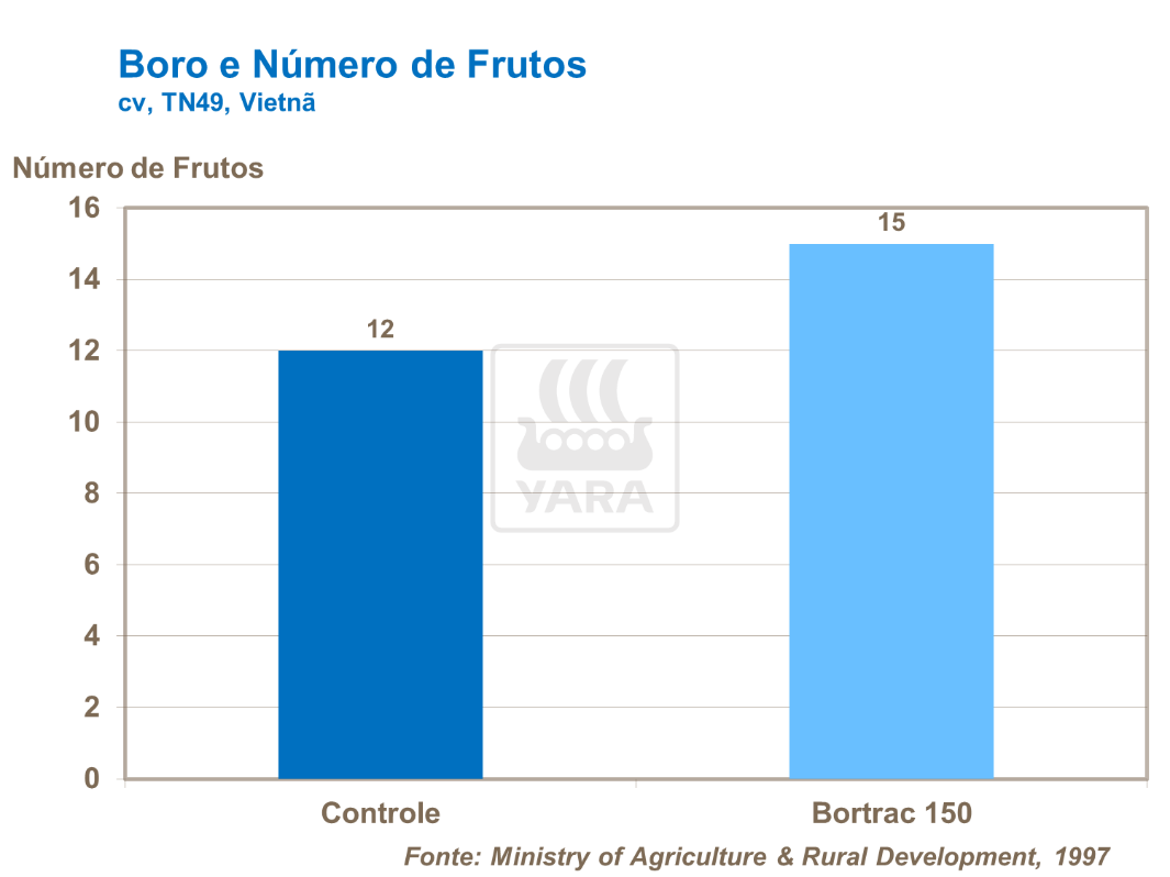 Boro e número de frutos