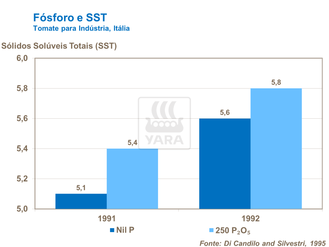 Fósforo e SST