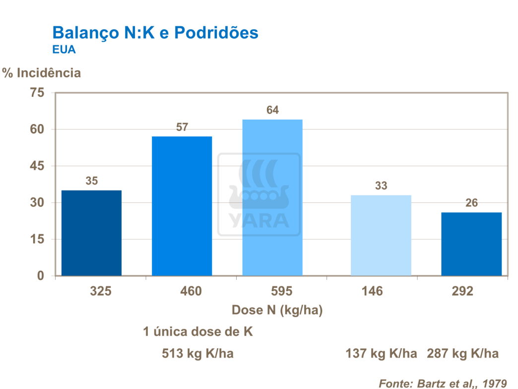 Balanço de N K