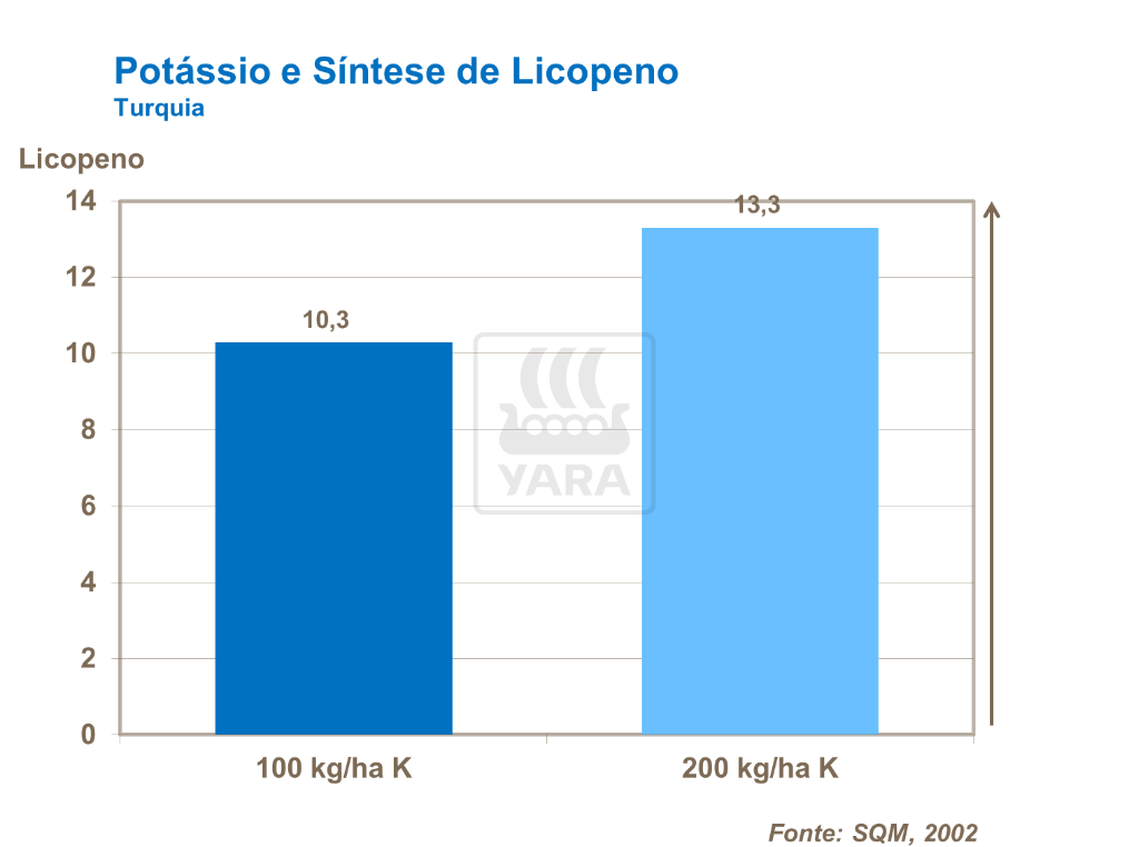 Potásisio e síntese de licopeno