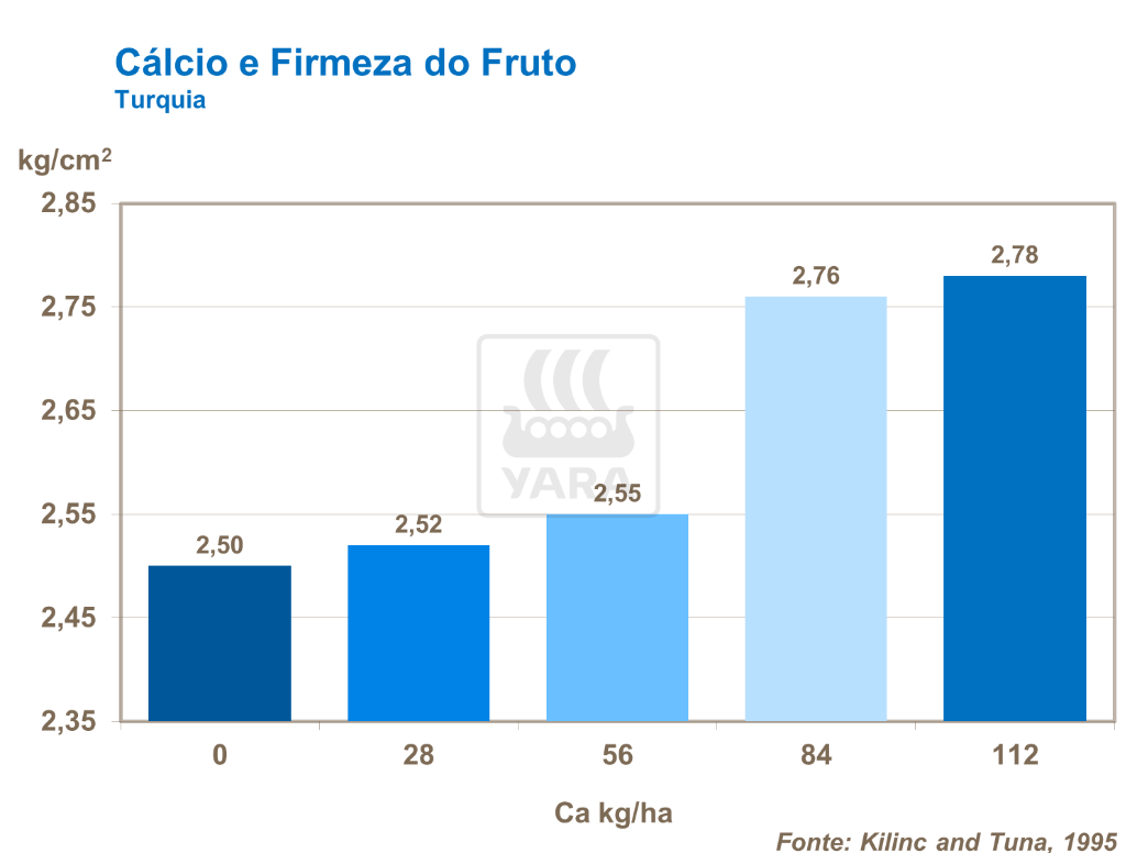 Cálcio