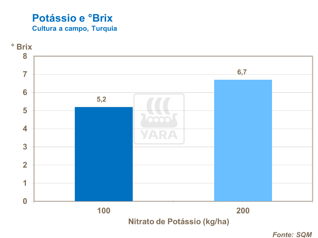 Potássio e Brix