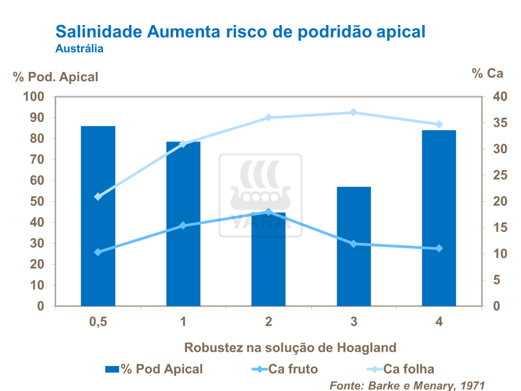 Salinidade