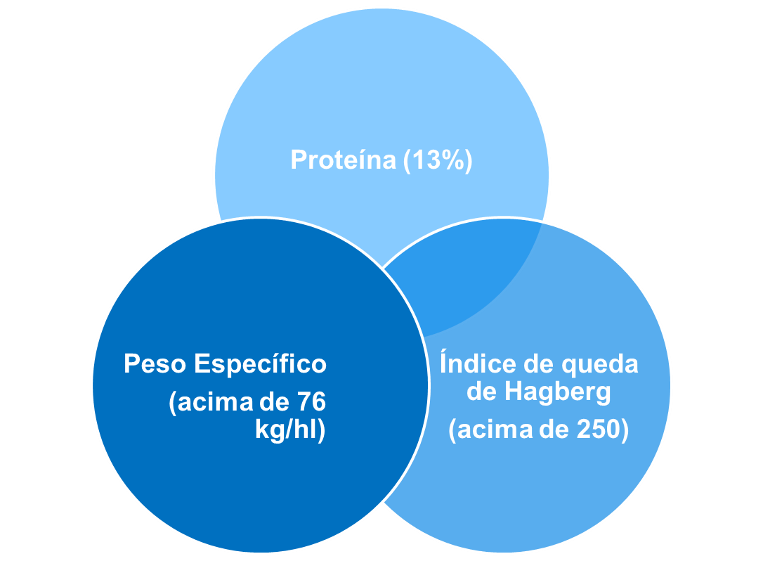 Nutrientes
