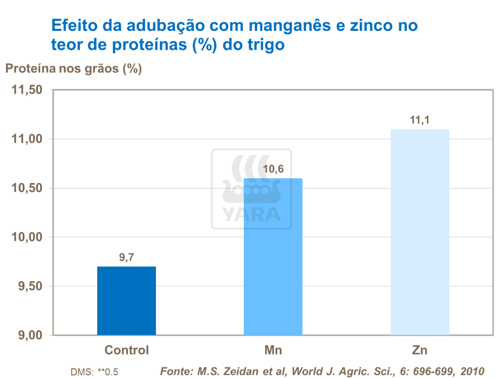 Efeito da adubação com manganês e zinco