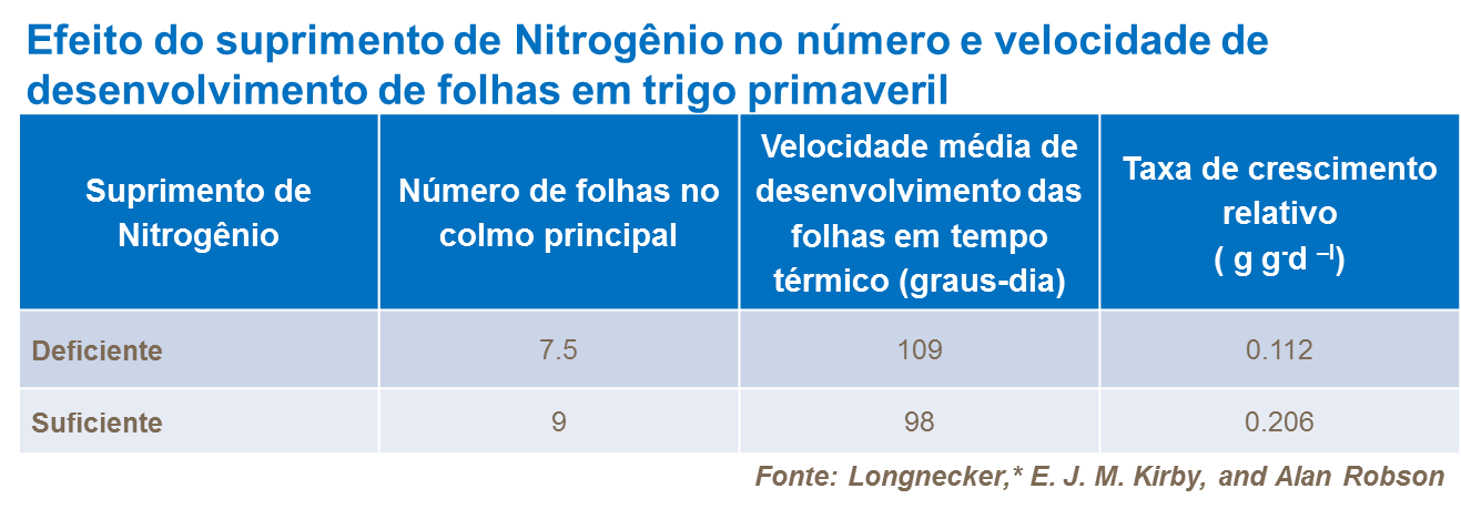 Efeito do suprimento de Nitrogênio