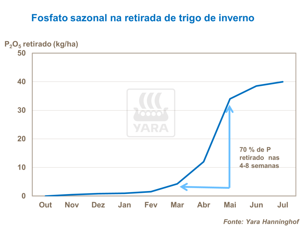 Fosfato sazonal na retirada de trigo de inverno