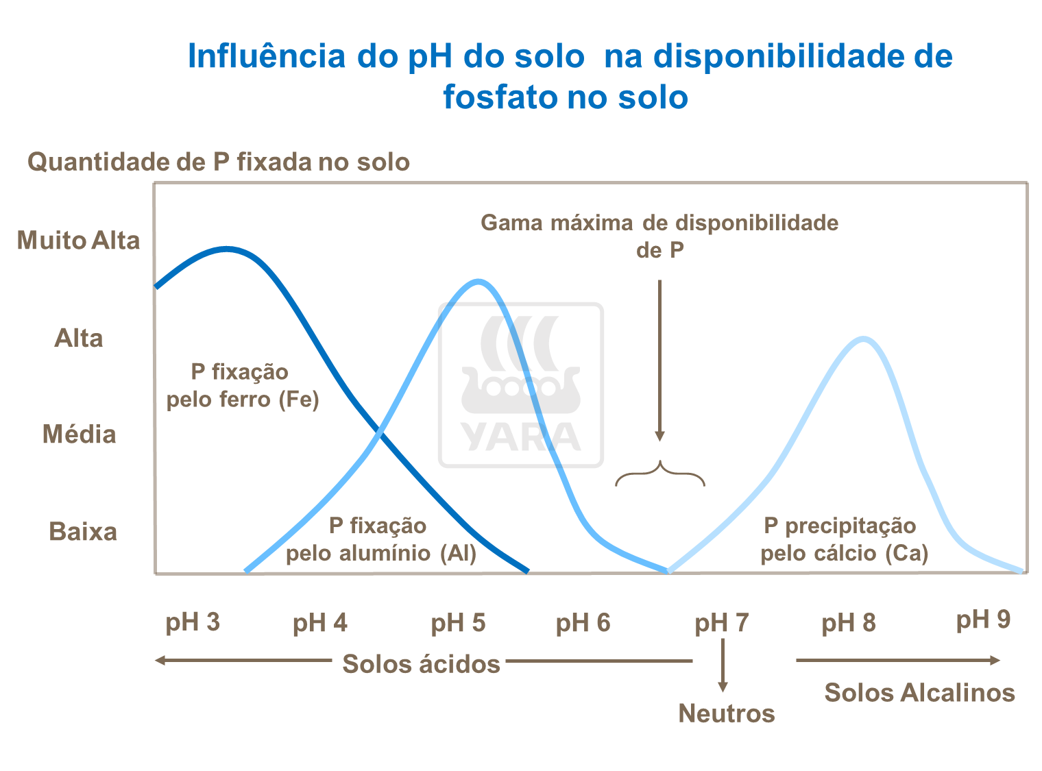 Influência Ph no solo
