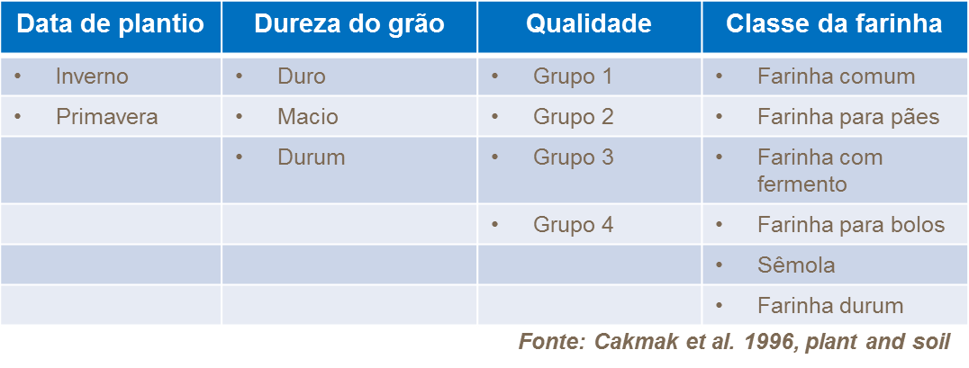 Classificações do trigo