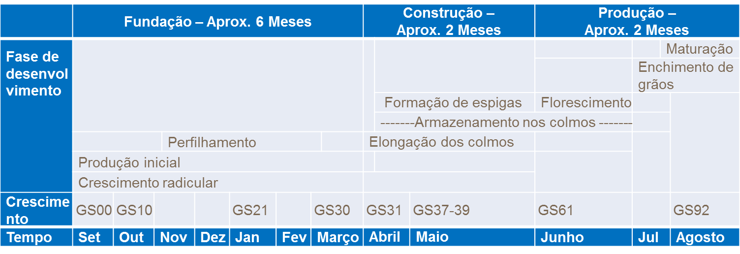 Tabela