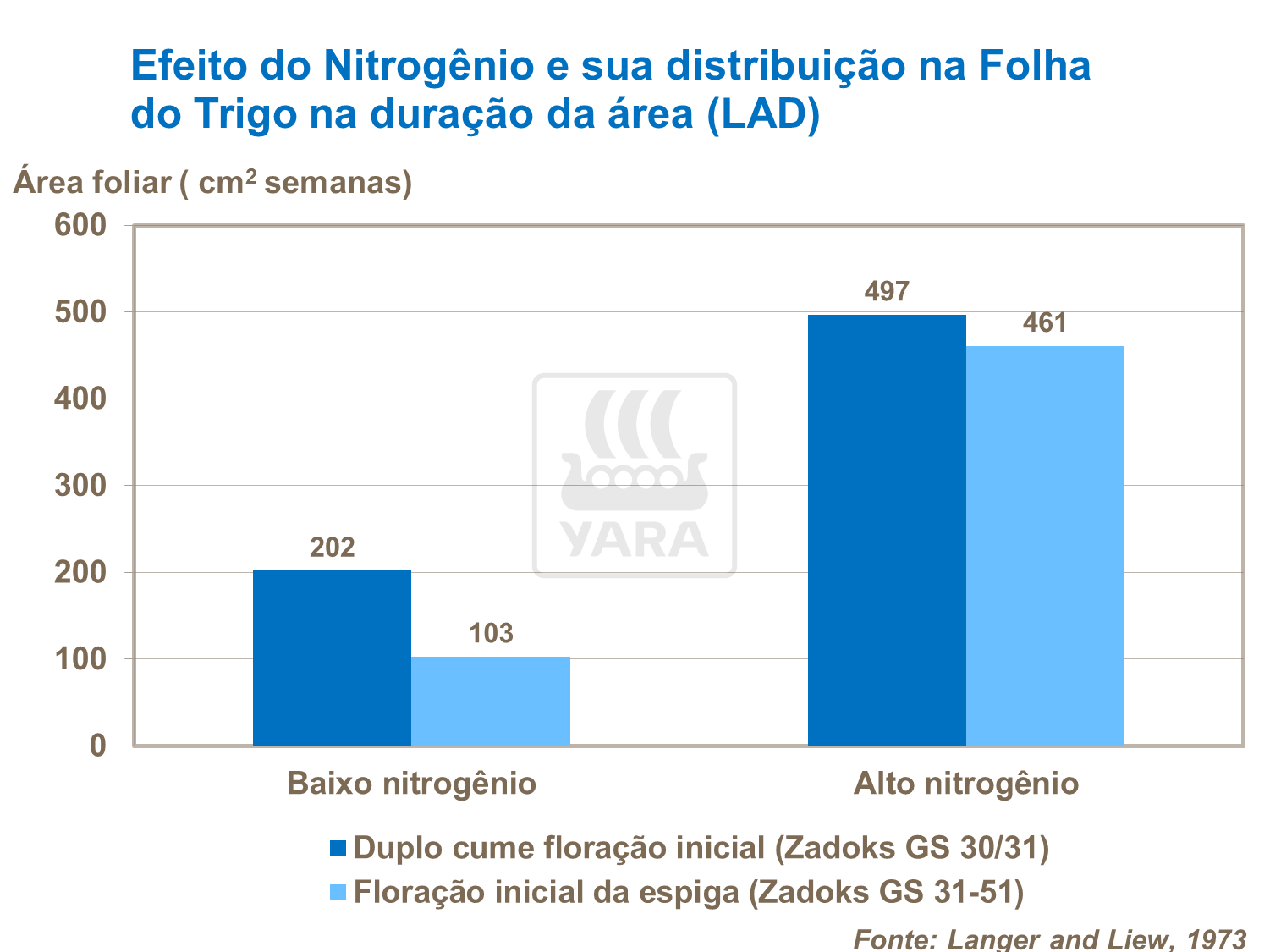 Efeito do N e sua distribuição na folha