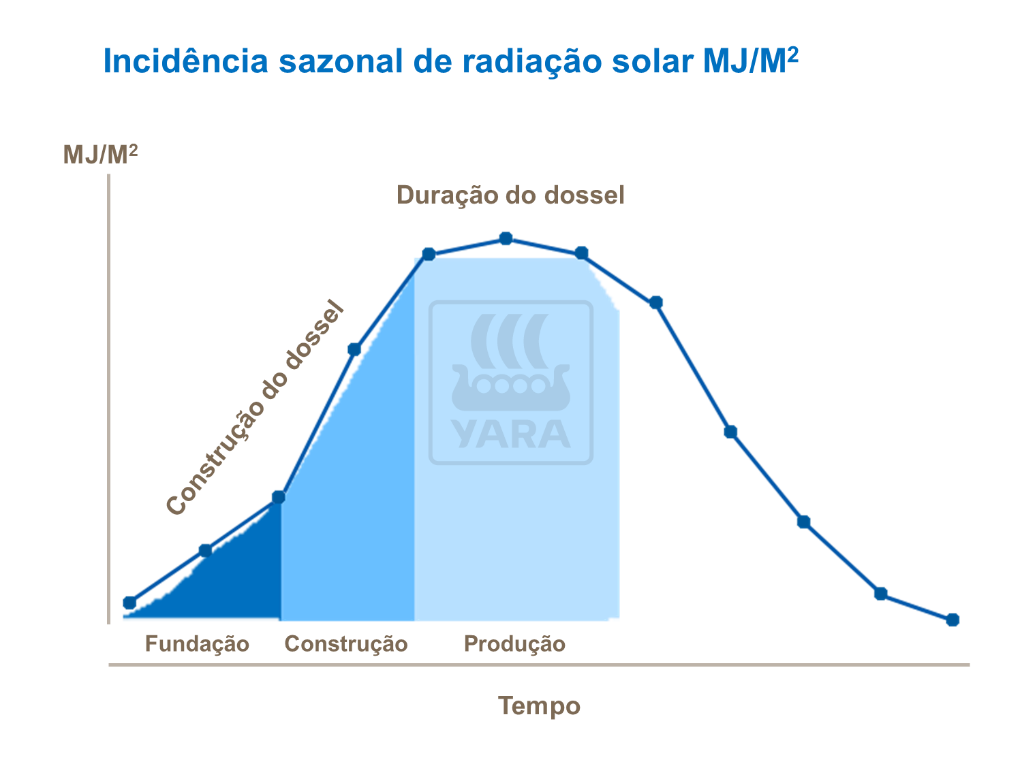 Incidência Sazonal