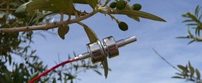 Yara adquire Water Sensor Company ZIM